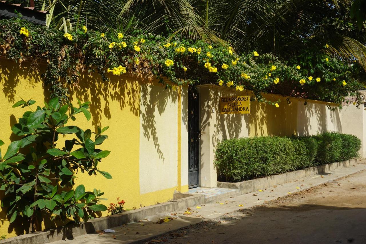 B & B Villa Calliandra Bijilo Ngoại thất bức ảnh