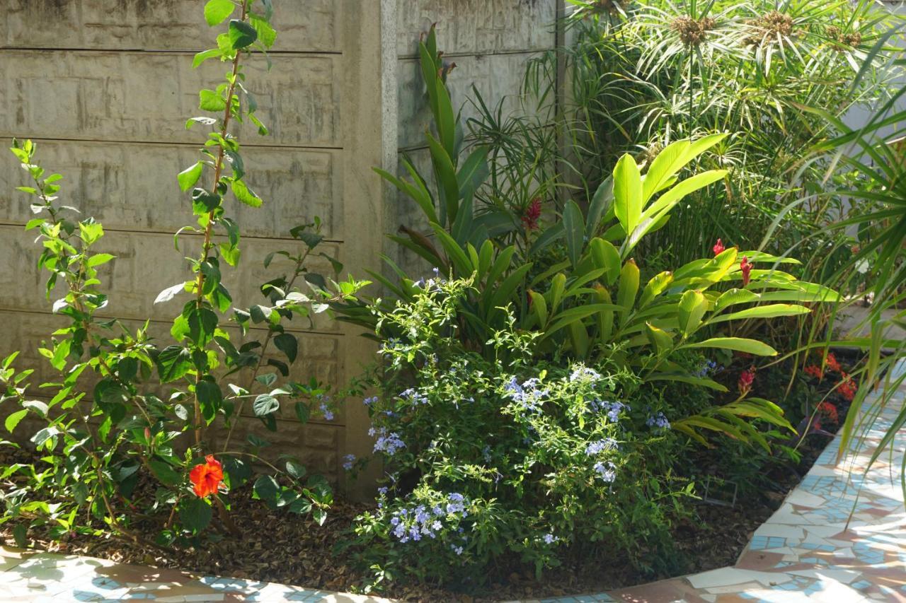 B & B Villa Calliandra Bijilo Ngoại thất bức ảnh